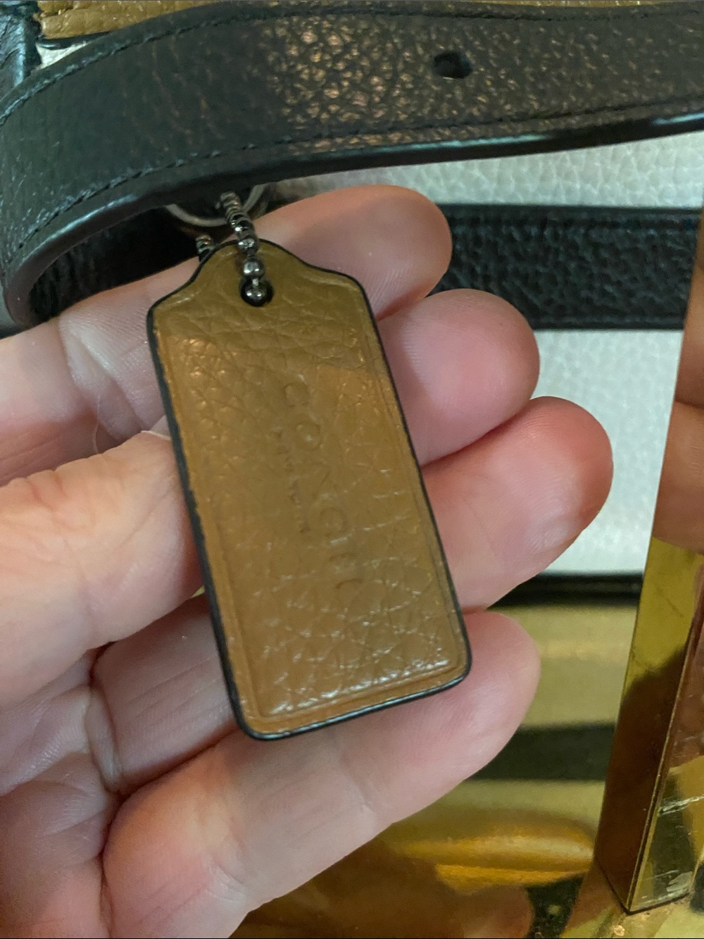 Coach Jade Mini Belt Sling Bag in Colorblock - Picture 5 of 10